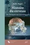 histoire-cerveau