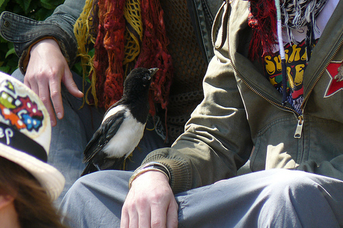 "Un indigné surprise" — © Dan d'Auge sur Flickr